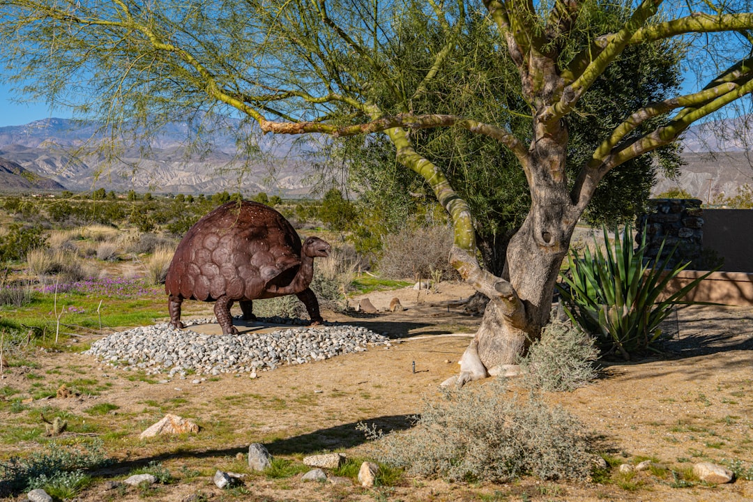 Exploring Offbeat Destinations: Unconventional Travel Ideas Await